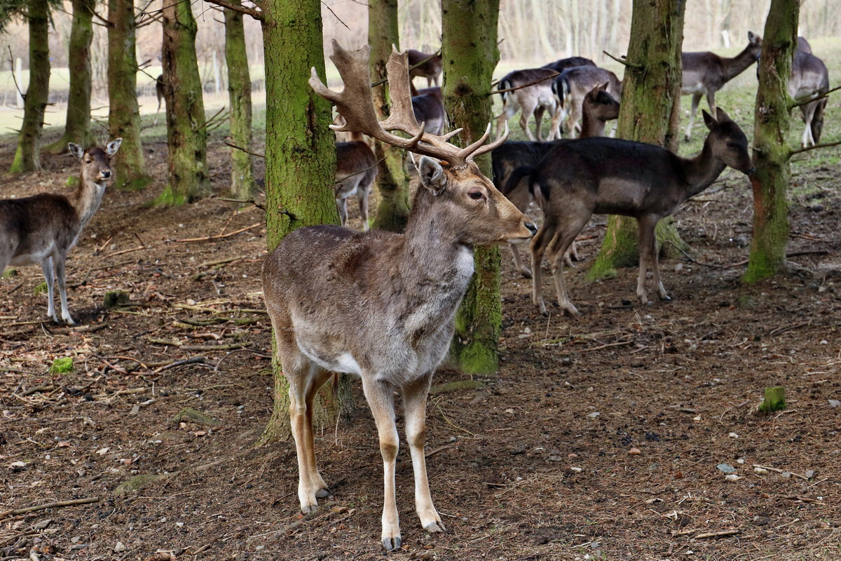 RNA-2017-03-11-00026020p_Bildgr��e �ndern