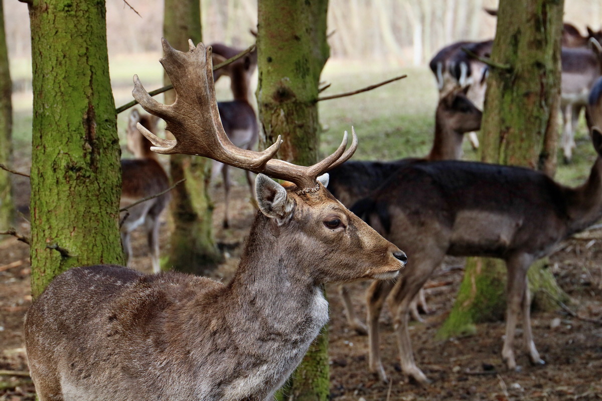 RNA-2017-03-11-00026029p_Bildgr��e �ndern