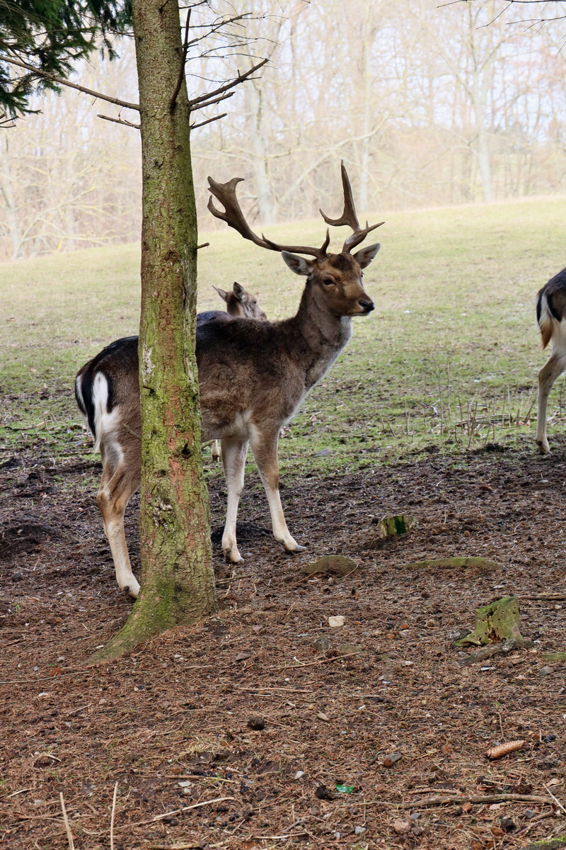 RNA-2017-03-11-00026040p_Bildgr��e �ndern