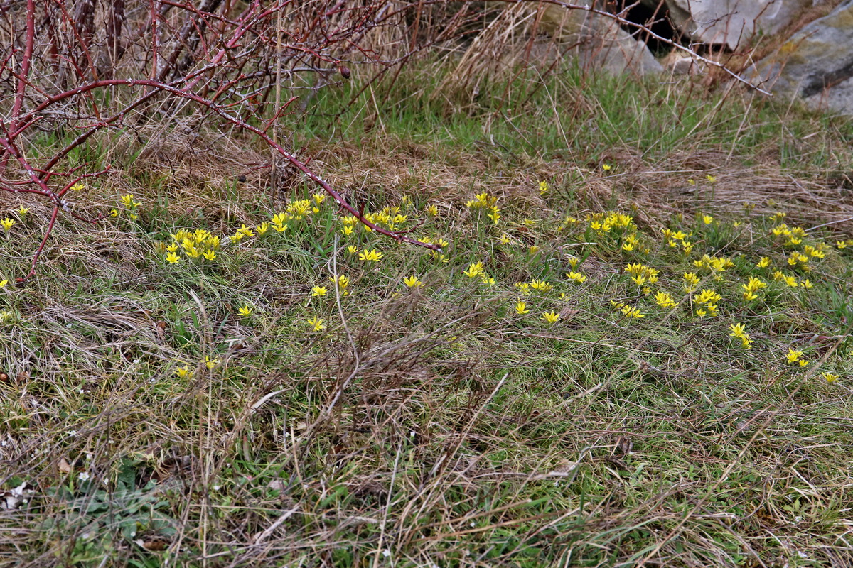 RNA-2017-03-11-00026058p_Bildgr��e �ndern