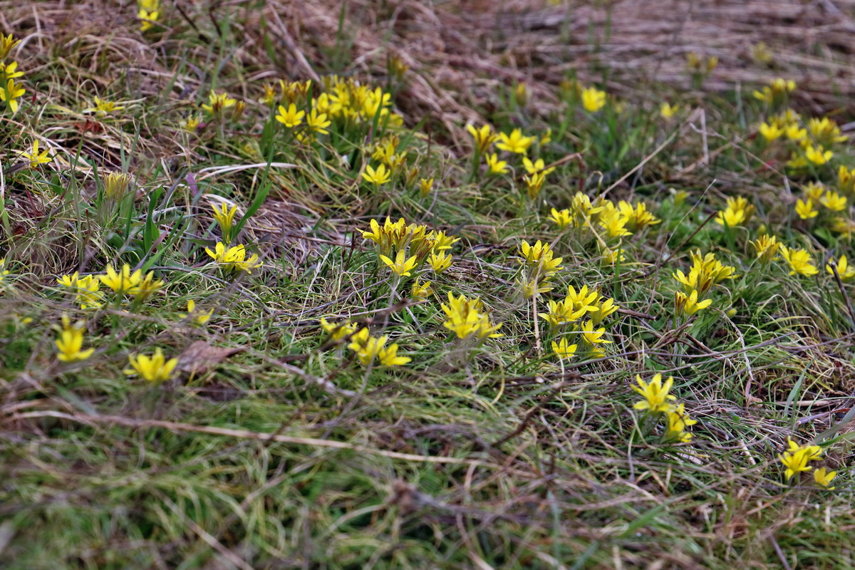 RNA-2017-03-11-00026060p_Bildgr��e �ndern