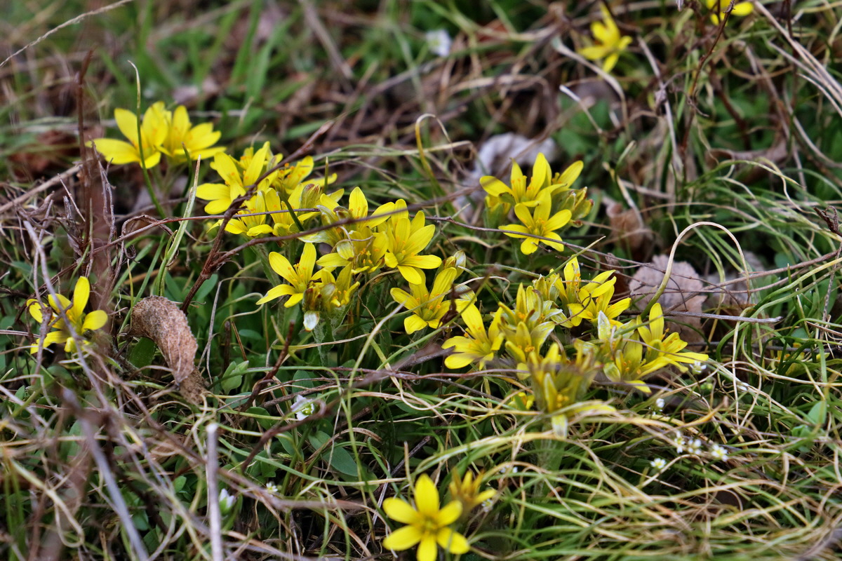 RNA-2017-03-11-00026068p_Bildgr��e �ndern