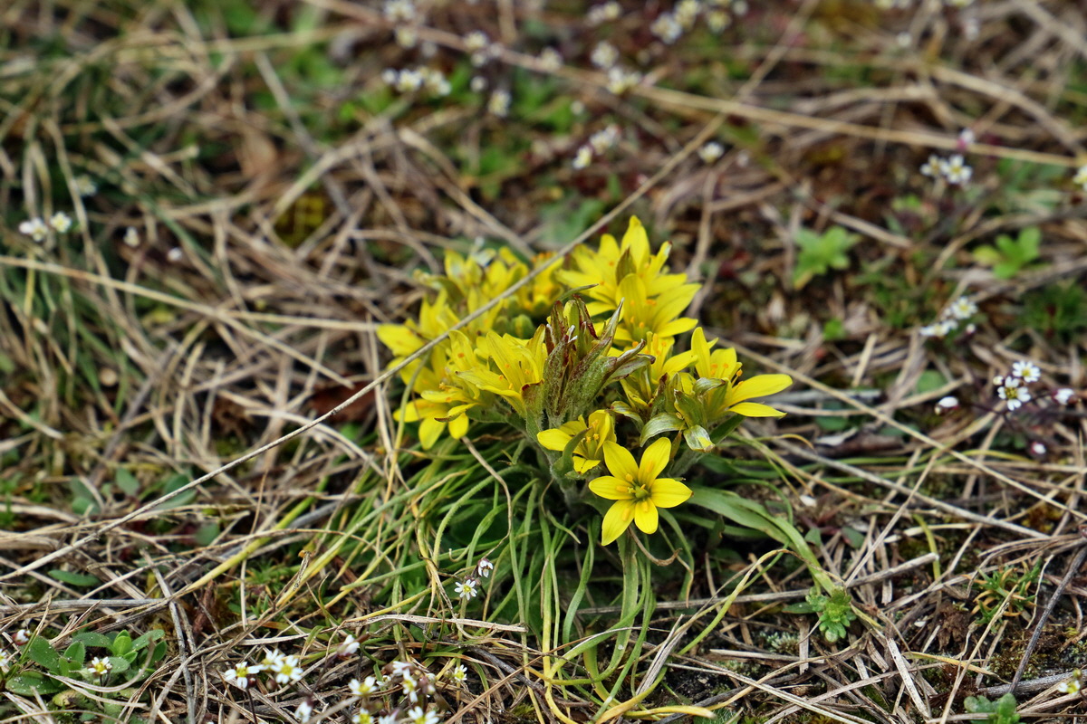 RNA-2017-03-11-00026074p_Bildgr��e �ndern