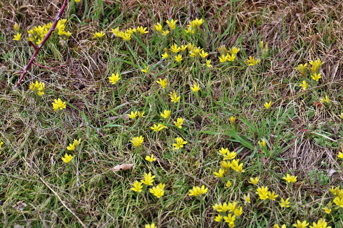 RNA-2017-03-11-00026080p_Bildgr��e �ndern