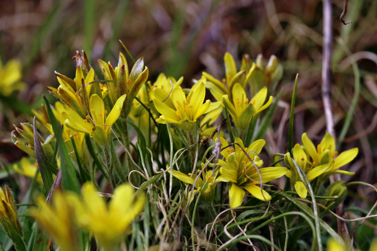 RNA-2017-03-11-00026088p_Bildgr��e �ndern