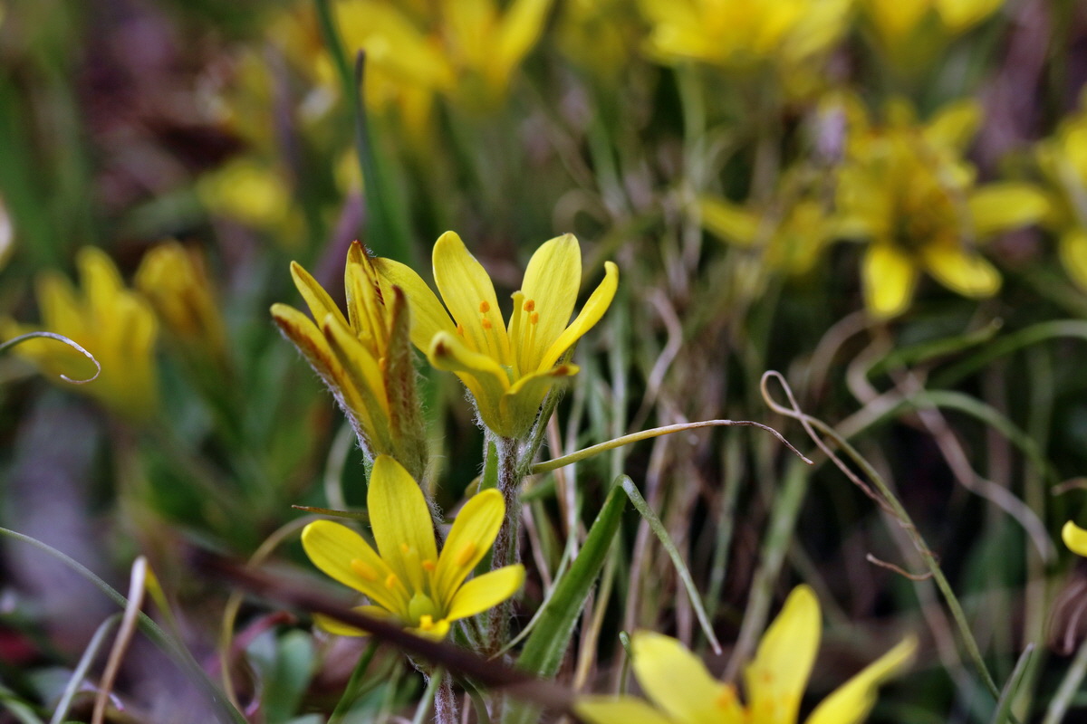 RNA-2017-03-11-00026090p_Bildgr��e �ndern