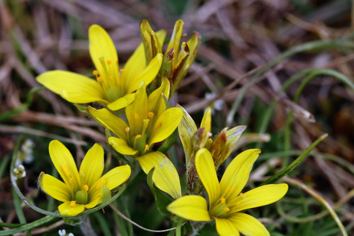 RNA-2017-03-11-00026099p_Bildgr��e �ndern