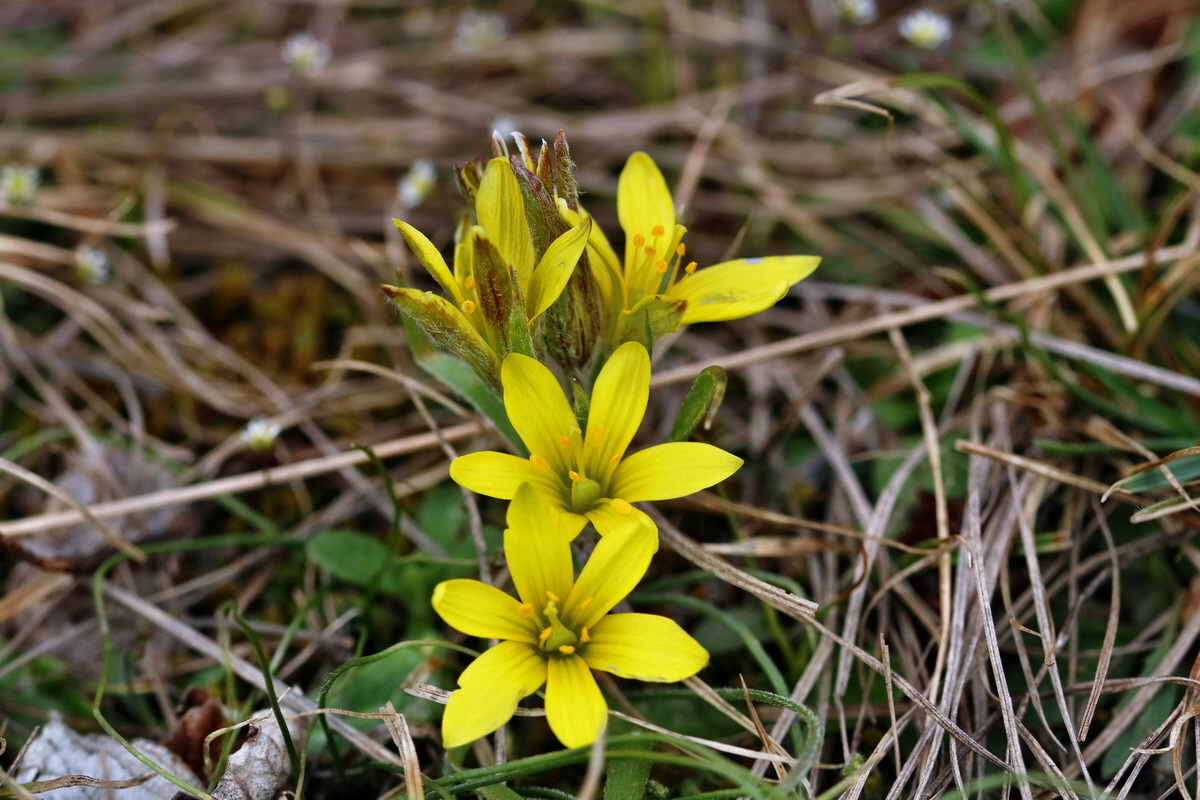 RNA-2017-03-11-00026103p_Bildgr��e �ndern