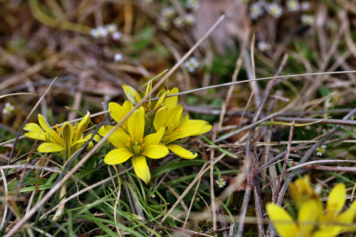 RNA-2017-03-11-00026105p_Bildgr��e �ndern