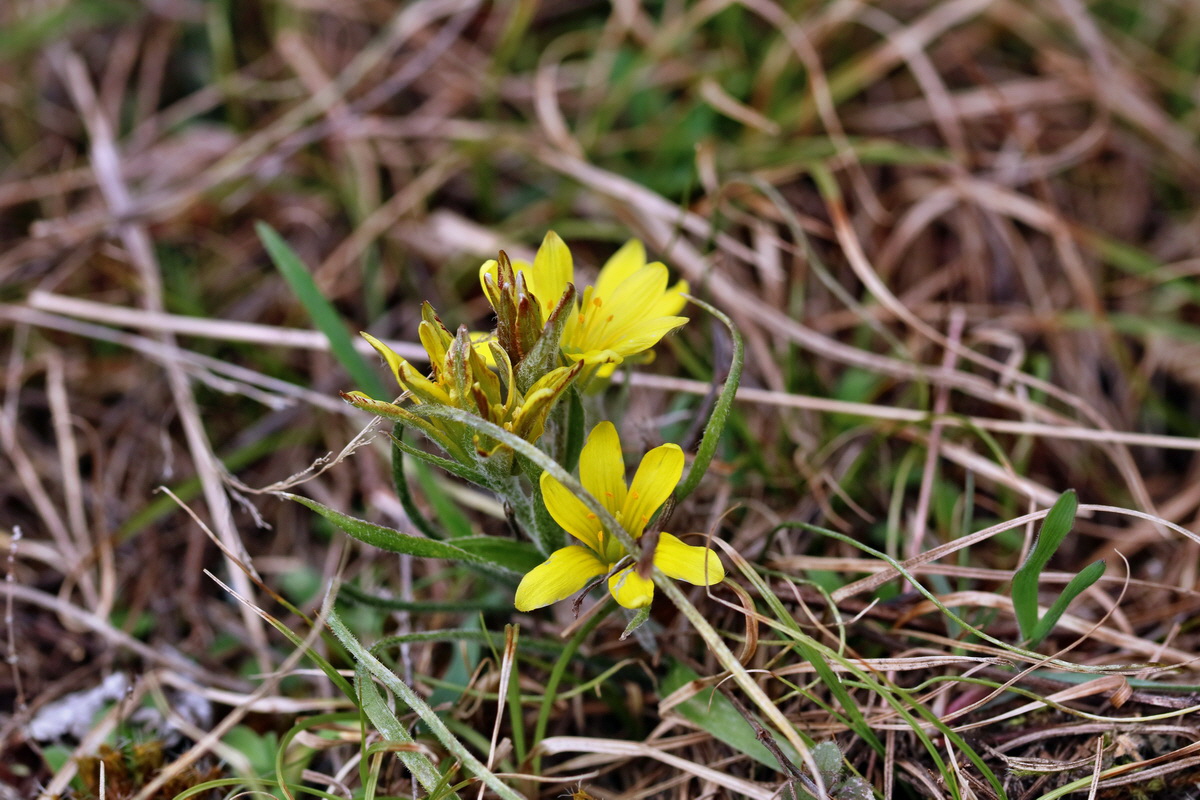 RNA-2017-03-11-00026108p_Bildgr��e �ndern