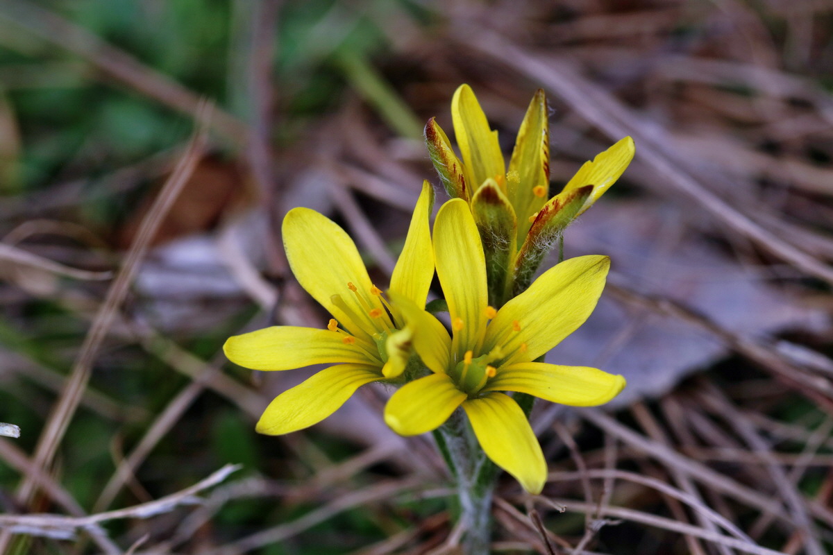 RNA-2017-03-11-00026111p_Bildgr��e �ndern