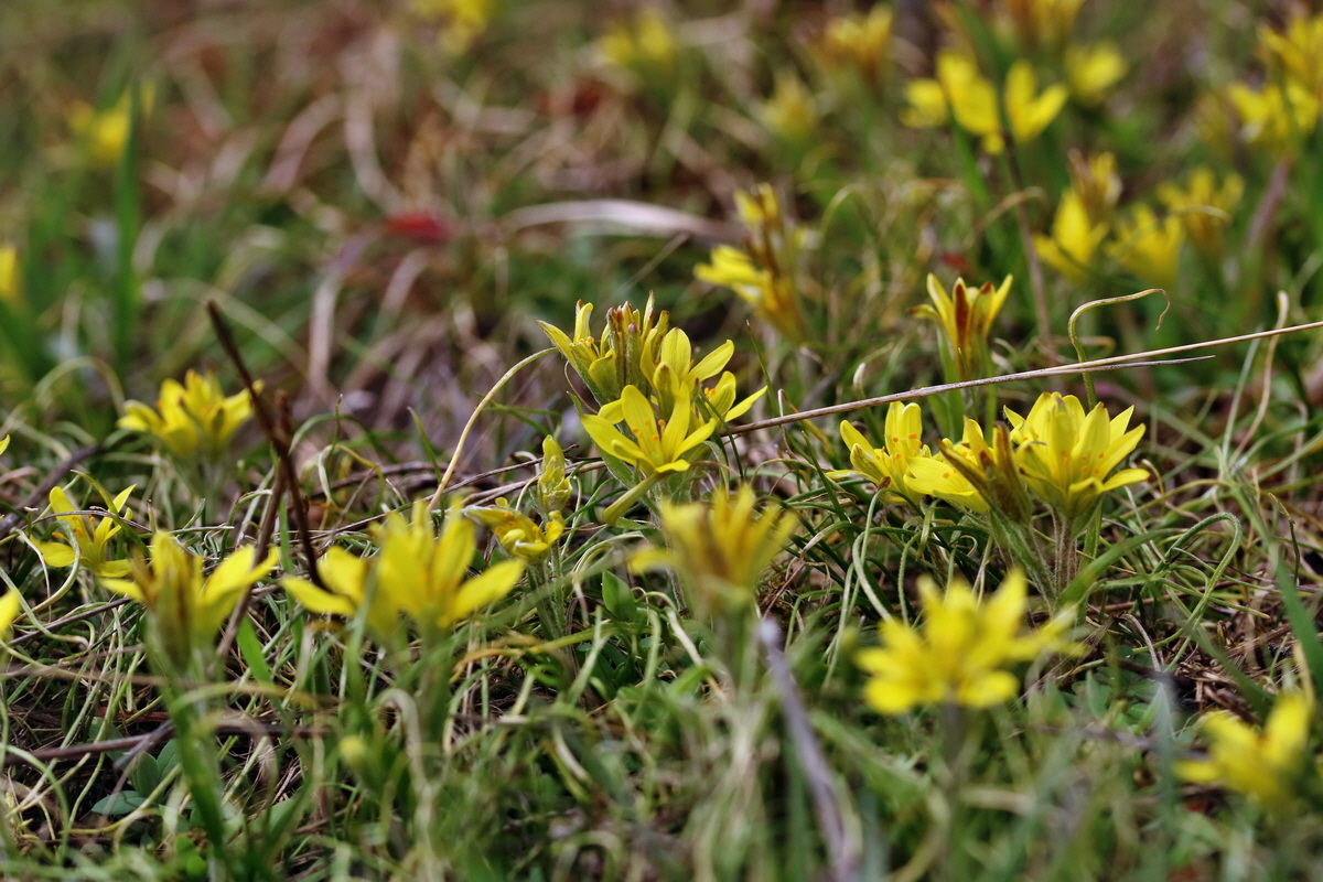 RNA-2017-03-11-00026115p_Bildgr��e �ndern