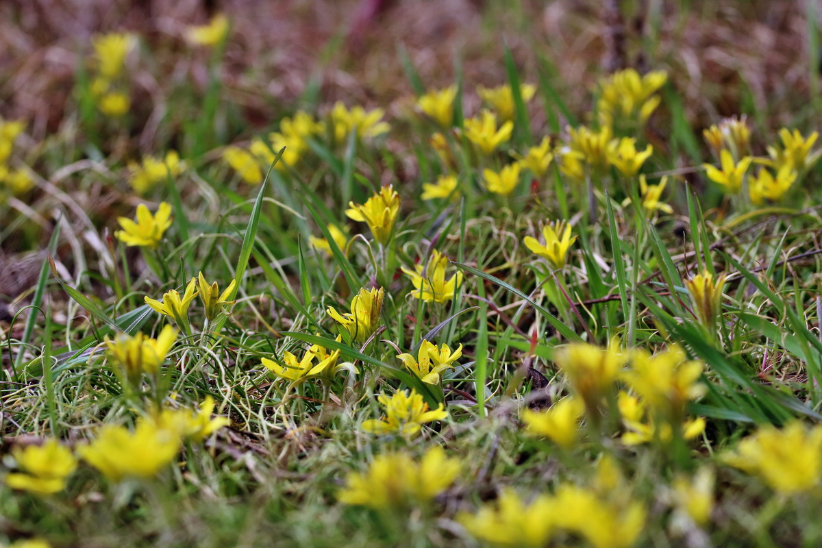 RNA-2017-03-11-00026120p_Bildgr��e �ndern