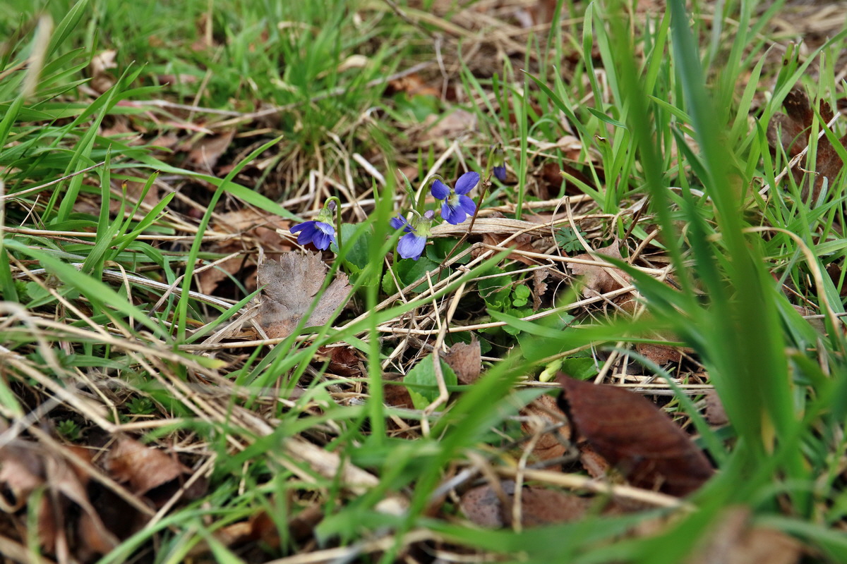 RNA-2017-03-11-00026126p_Bildgr��e �ndern