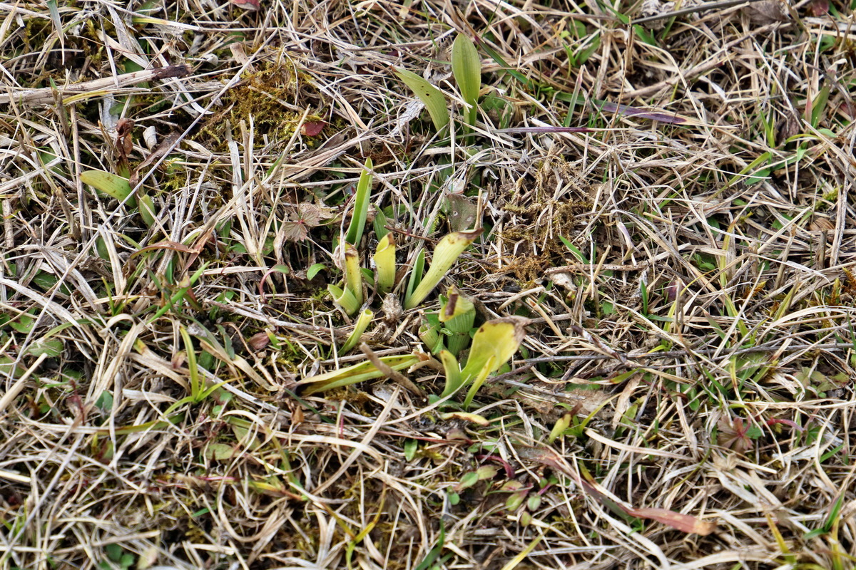 RNA-2017-03-11-00026130p_Bildgr��e �ndern