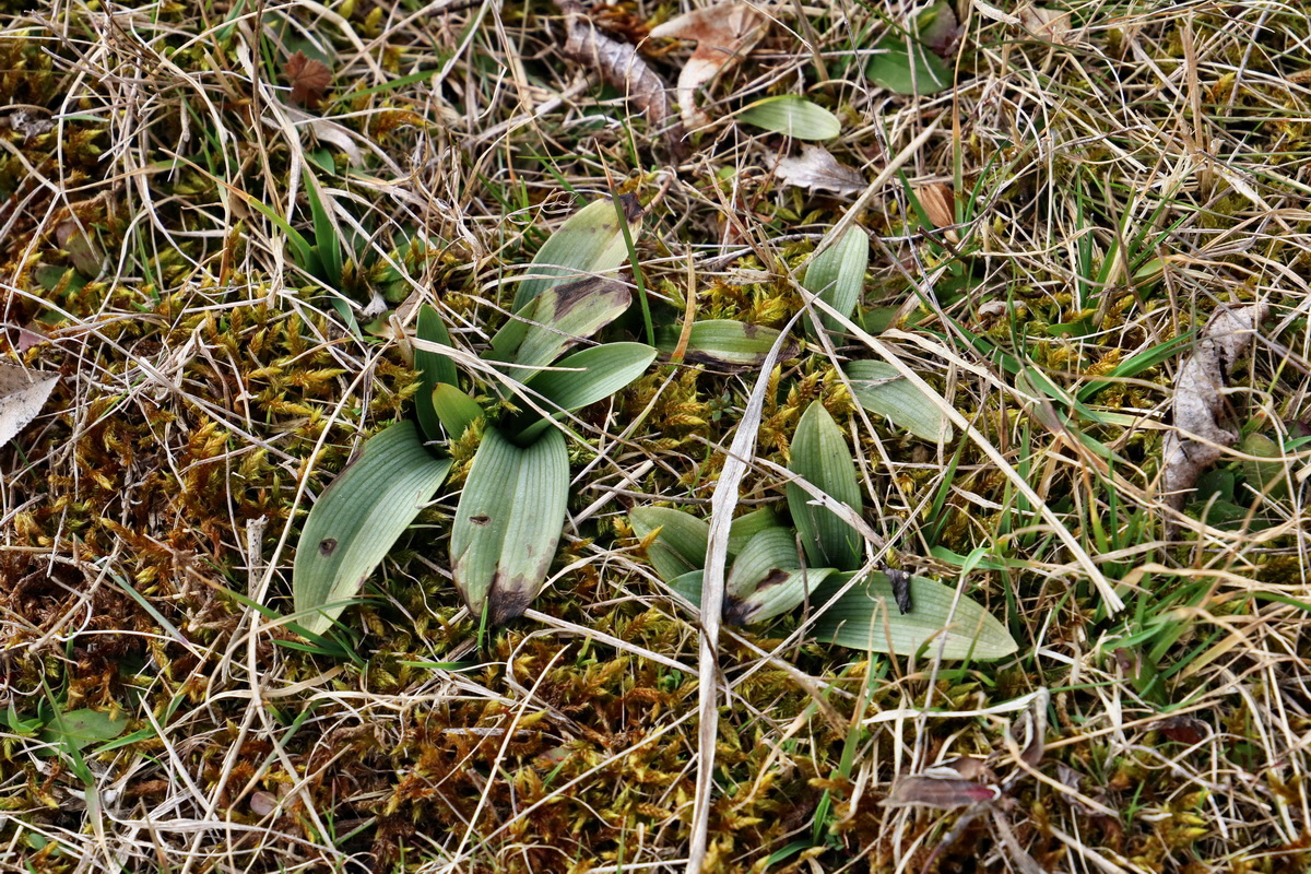 RNA-2017-03-11-00026135p_Bildgr��e �ndern