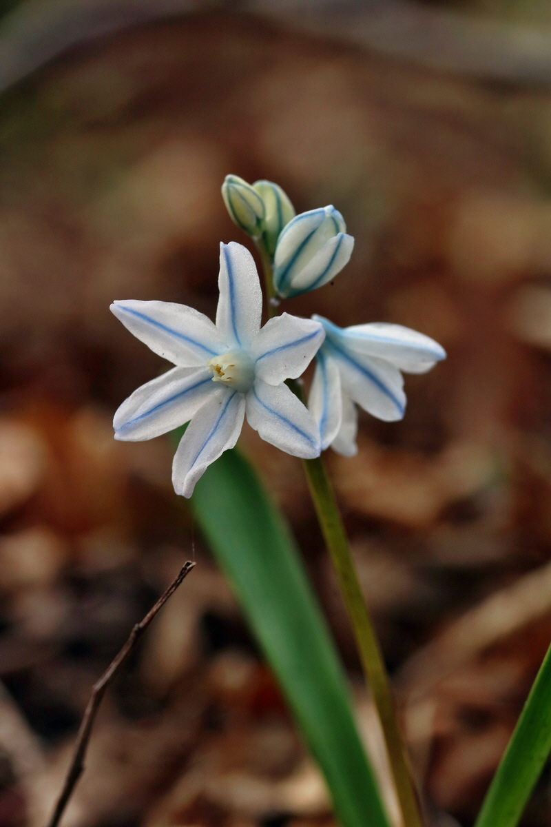 RNA-2017-03-11-00026138p_Bildgr��e �ndern