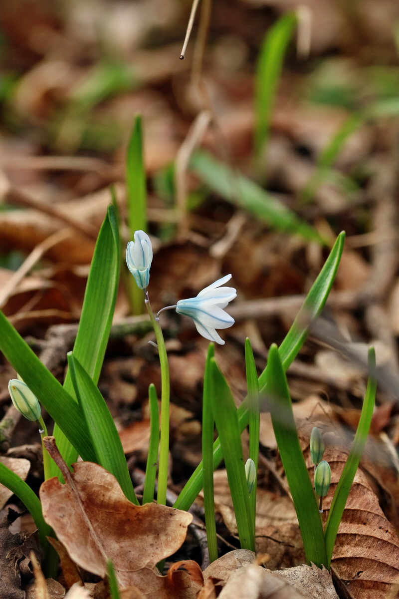 RNA-2017-03-11-00026147p_Bildgr��e �ndern