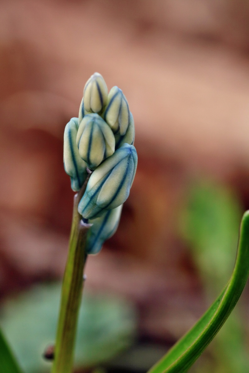 RNA-2017-03-11-00026149p_Bildgr��e �ndern