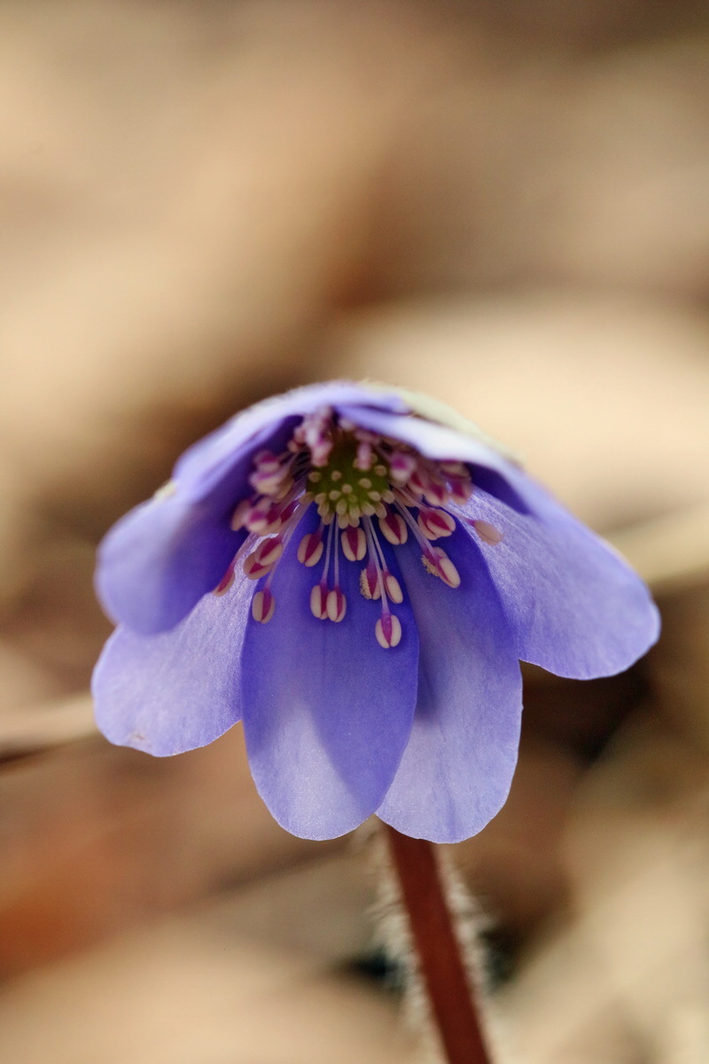 RNA-2017-03-11-00026164p_Bildgr��e �ndern