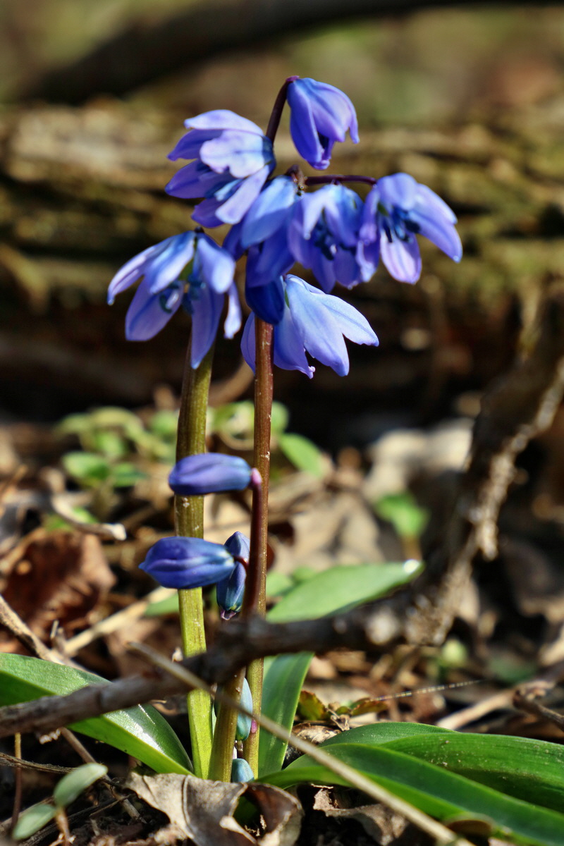 RNA-2017-03-11-00026200p_Bildgr��e �ndern