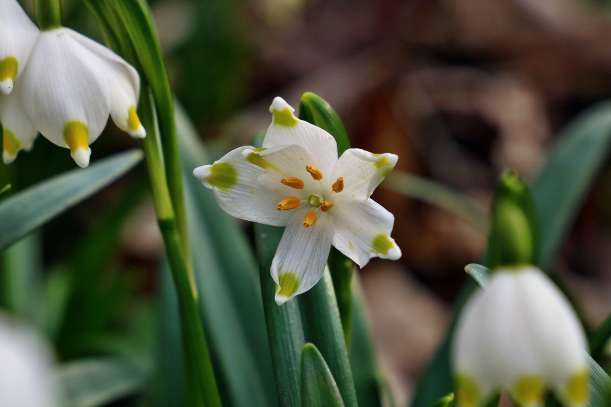 RNA-2017-03-11-00026234p_Bildgr��e �ndern