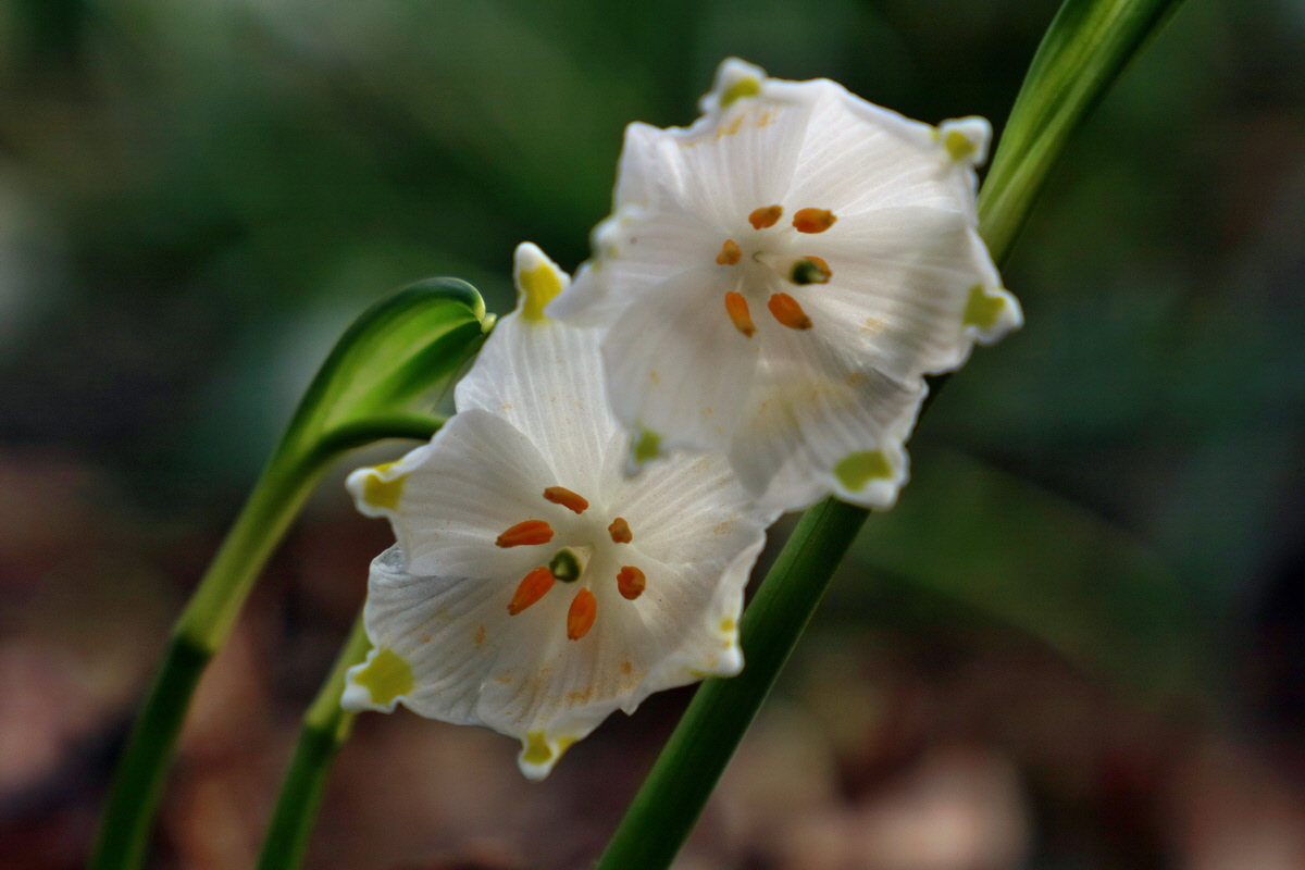 RNA-2017-03-11-00026246p_Bildgr��e �ndern