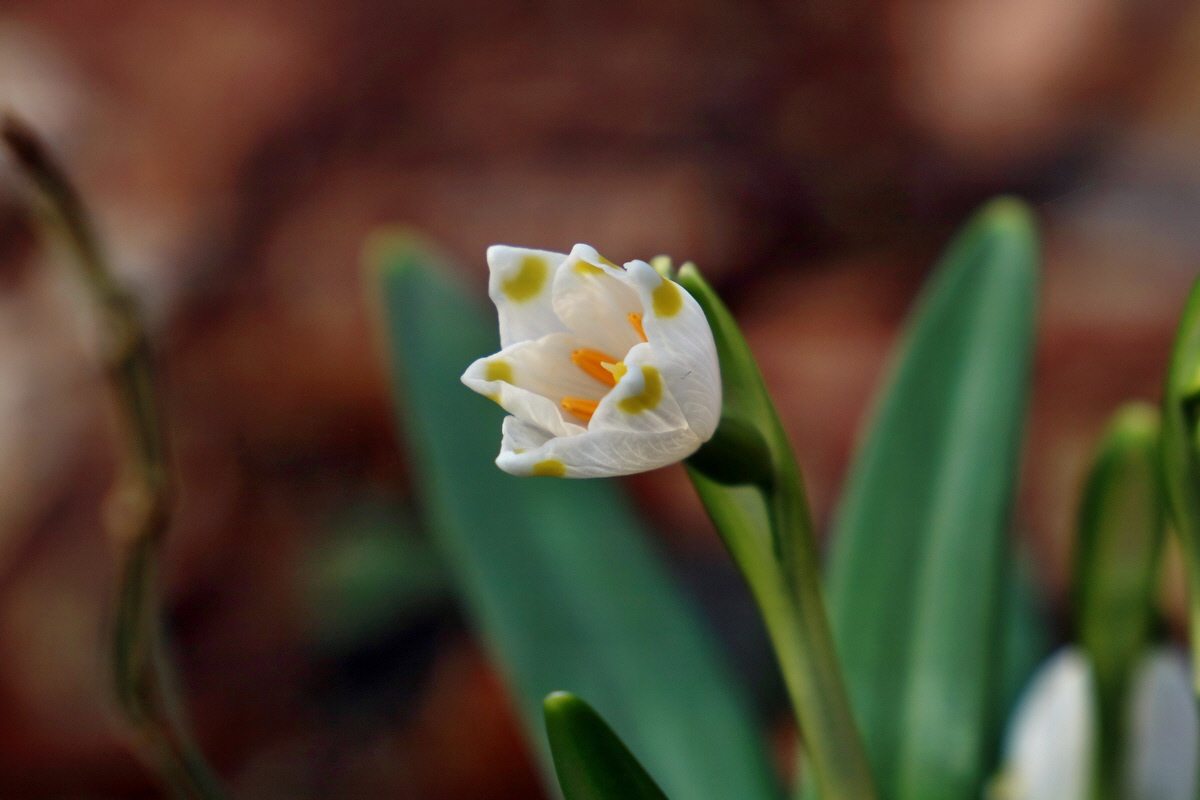 RNA-2017-03-11-00026268p_Bildgr��e �ndern