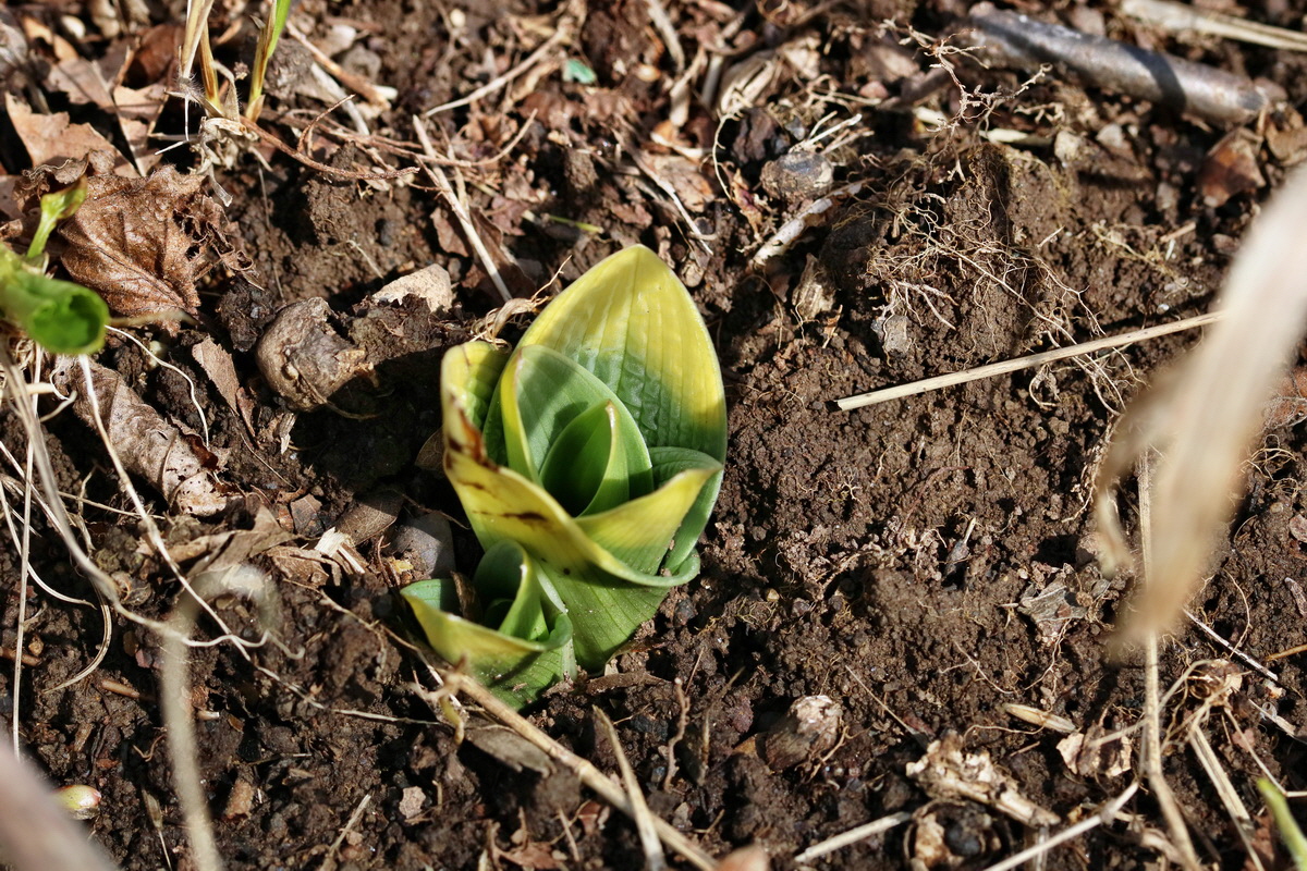 RNA-2017-03-12-00026299p_Bildgr��e �ndern