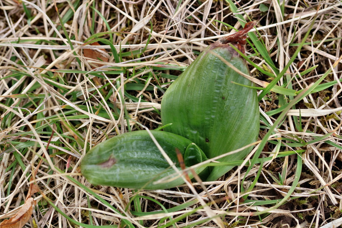 RNA-2017-03-12-00026303p_Bildgr��e �ndern