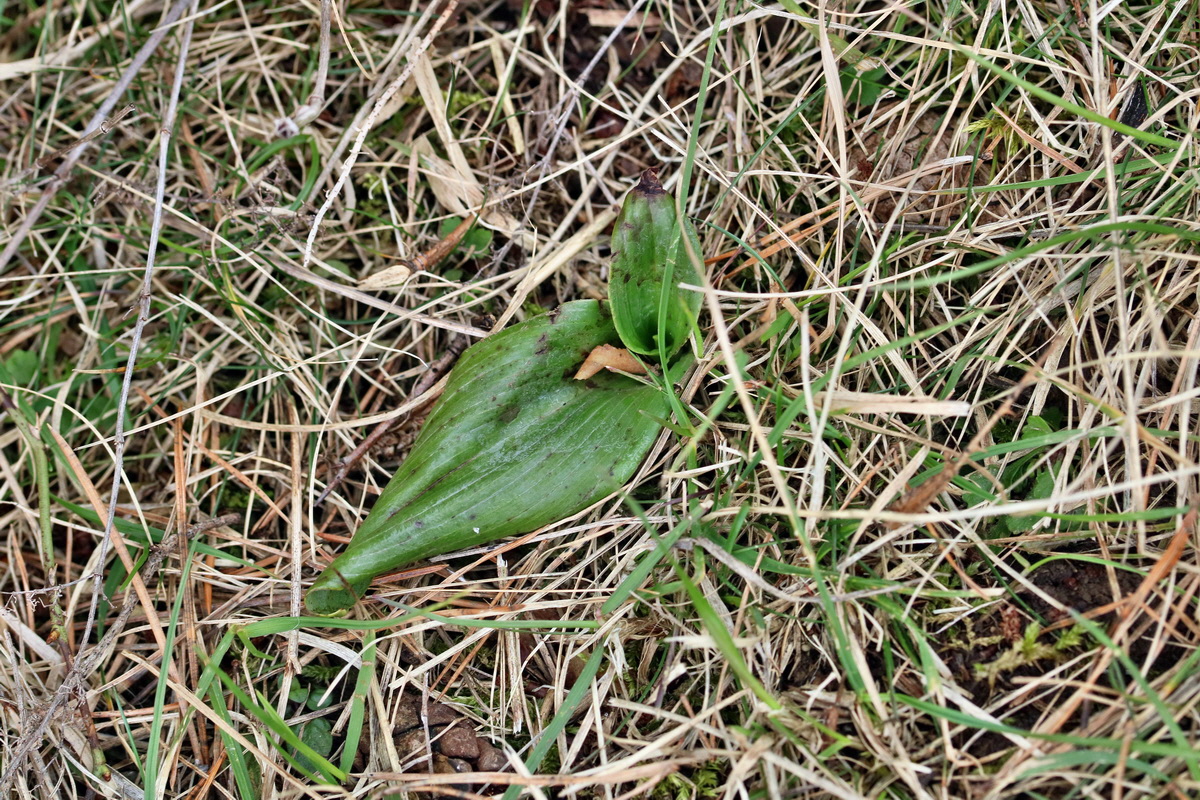 RNA-2017-03-12-00026318p_Bildgr��e �ndern