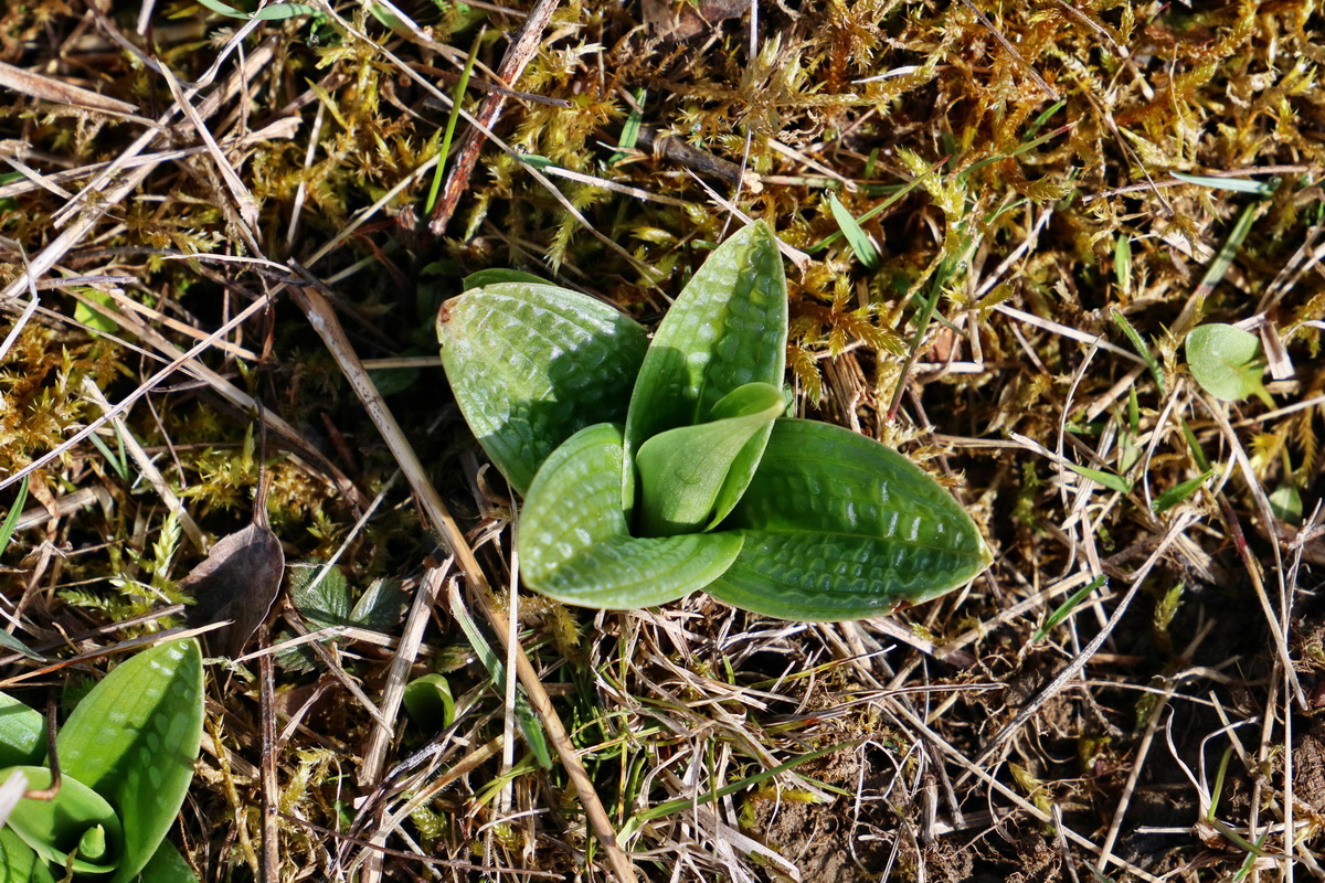 RNA-2017-03-22-00026363p_Bildgr��e �ndern