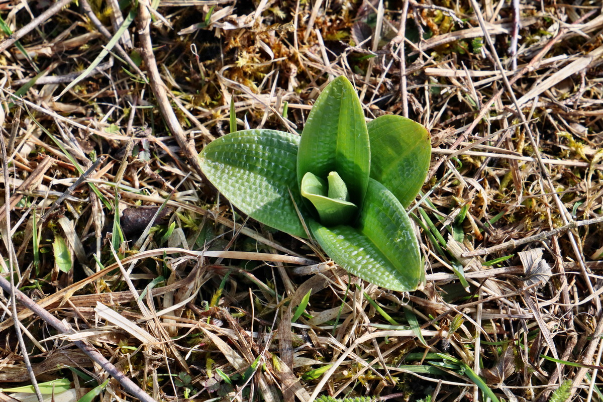 RNA-2017-03-22-00026366p_Bildgr��e �ndern