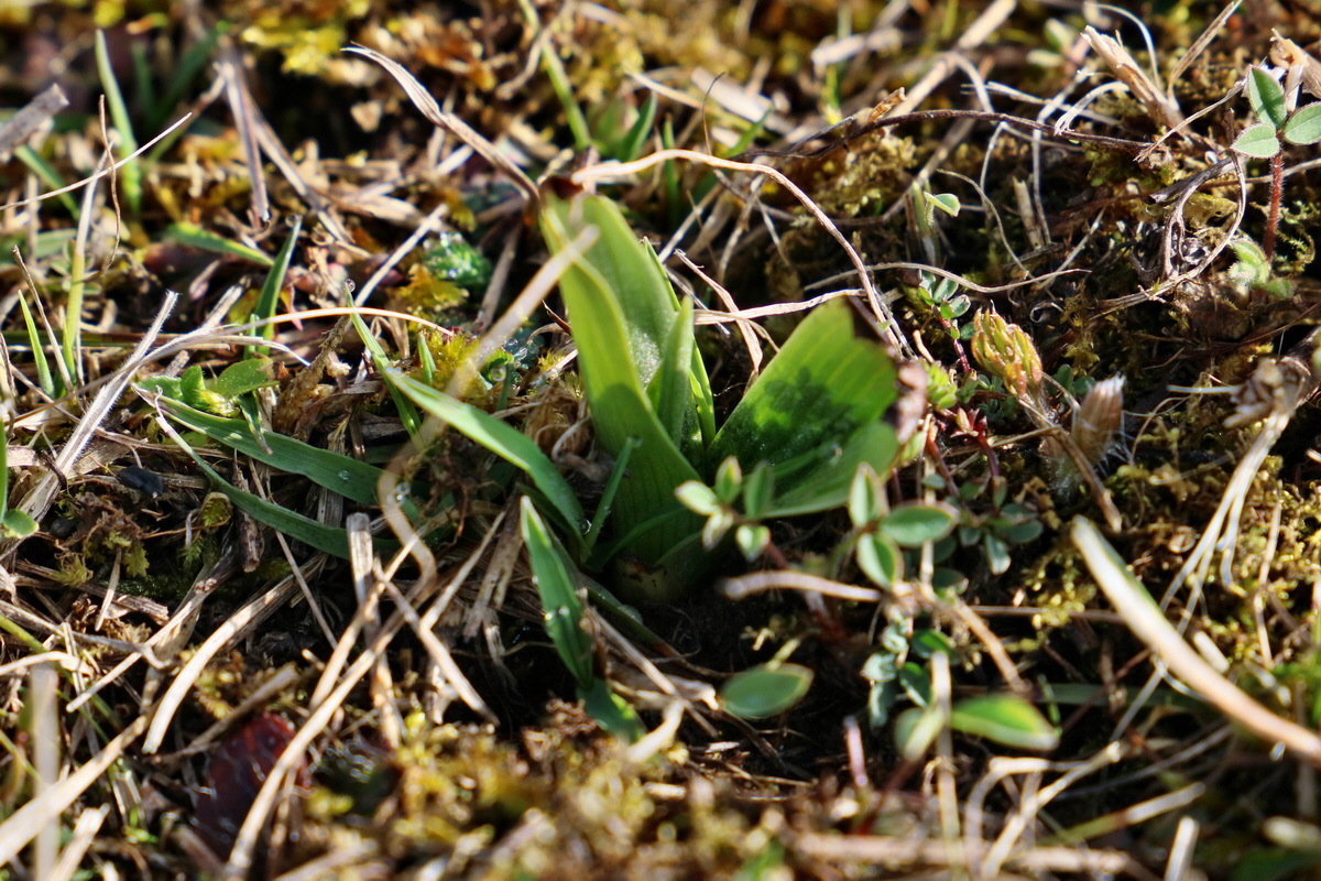 RNA-2017-03-22-00026387p_Bildgr��e �ndern