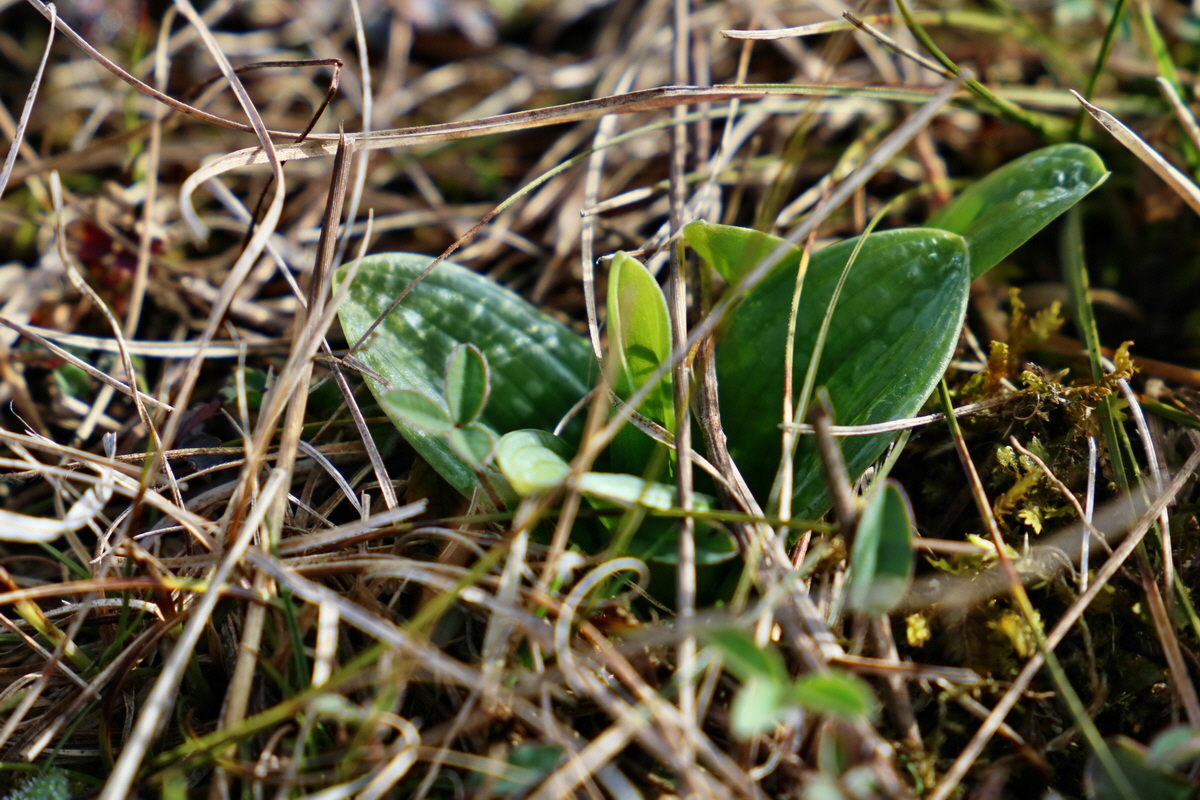 RNA-2017-03-22-00026391p_Bildgr��e �ndern