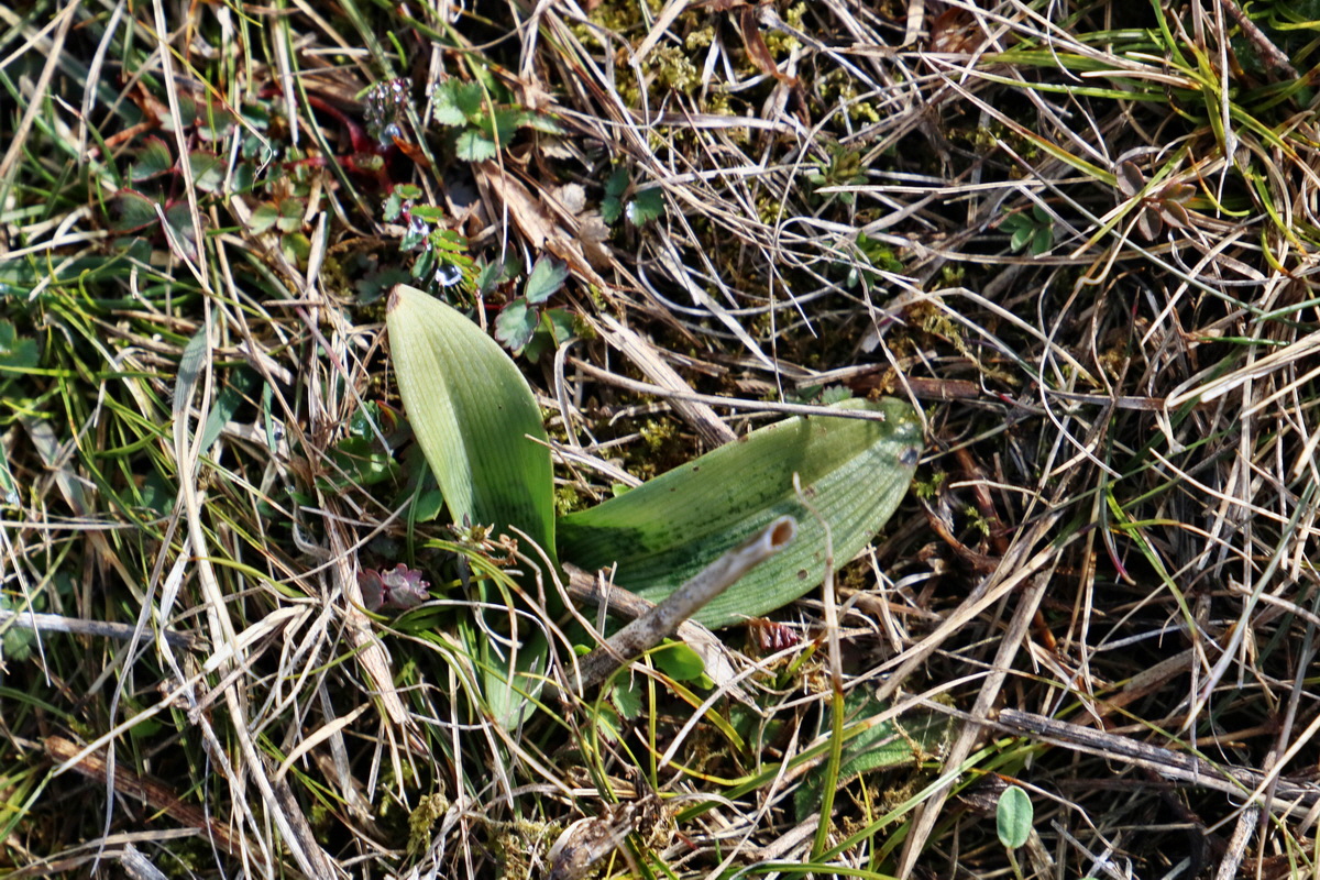 RNA-2017-03-22-00026397p_Bildgr��e �ndern