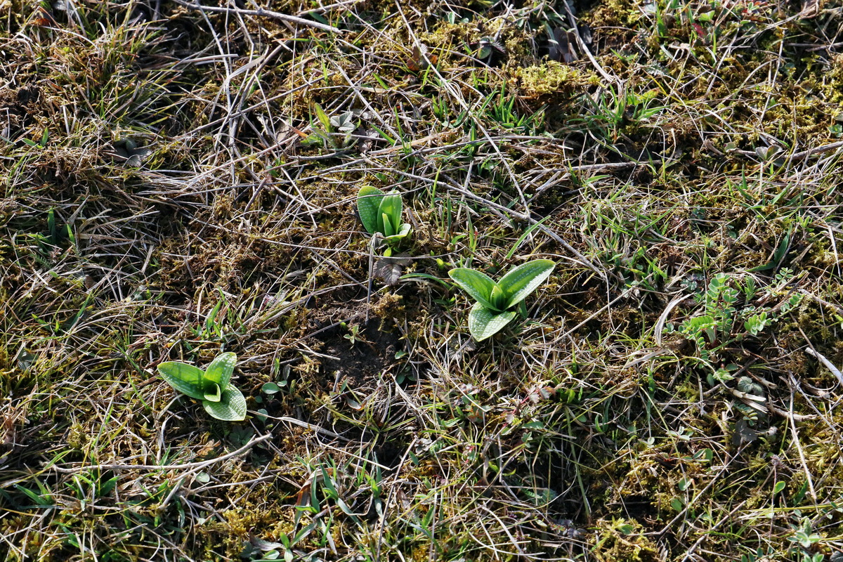 RNA-2017-03-22-00026406p_Bildgr��e �ndern