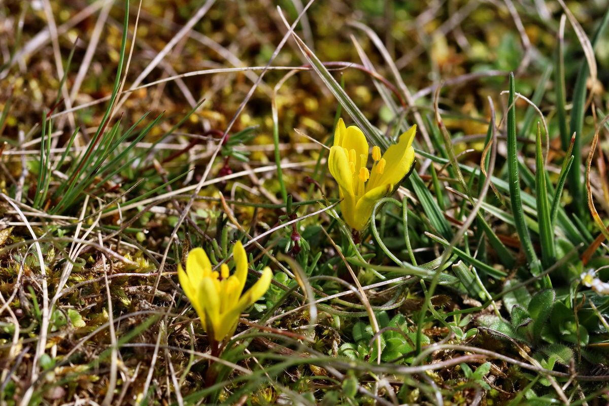 RNA-2017-03-22-00026426p_Bildgr��e �ndern