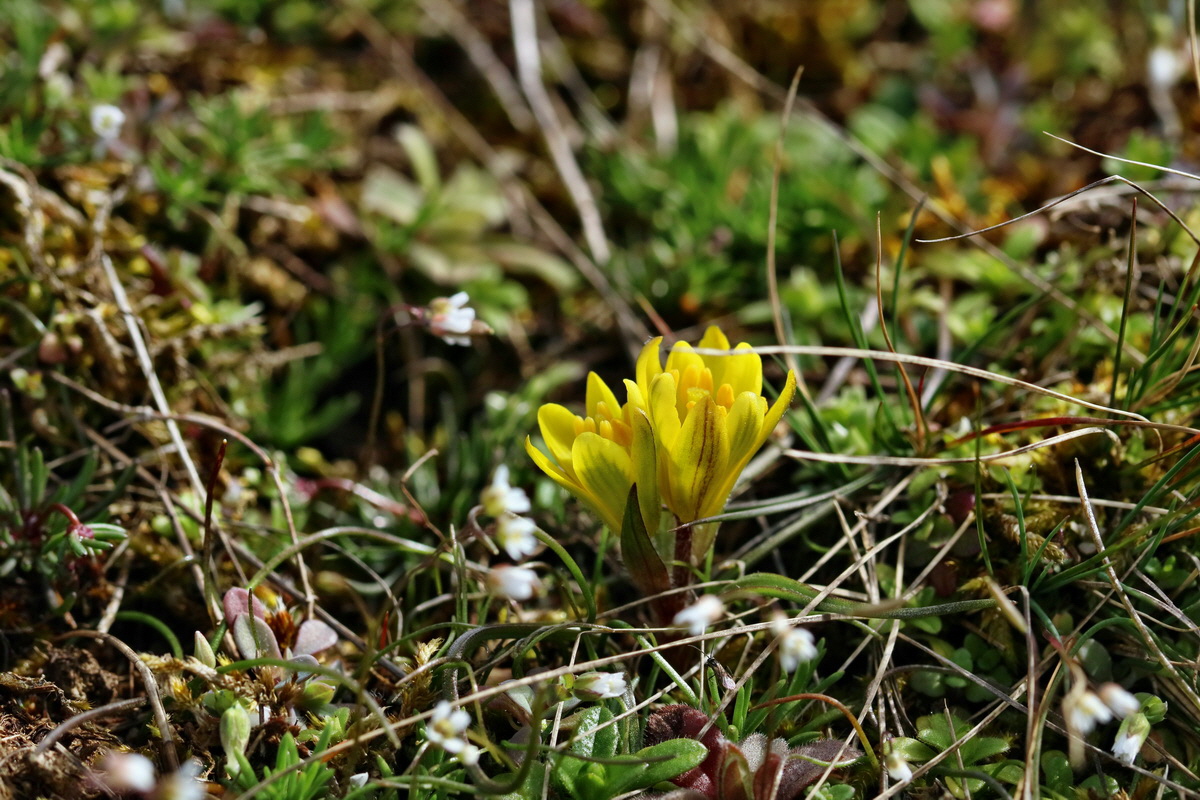 RNA-2017-03-22-00026428p_Bildgr��e �ndern