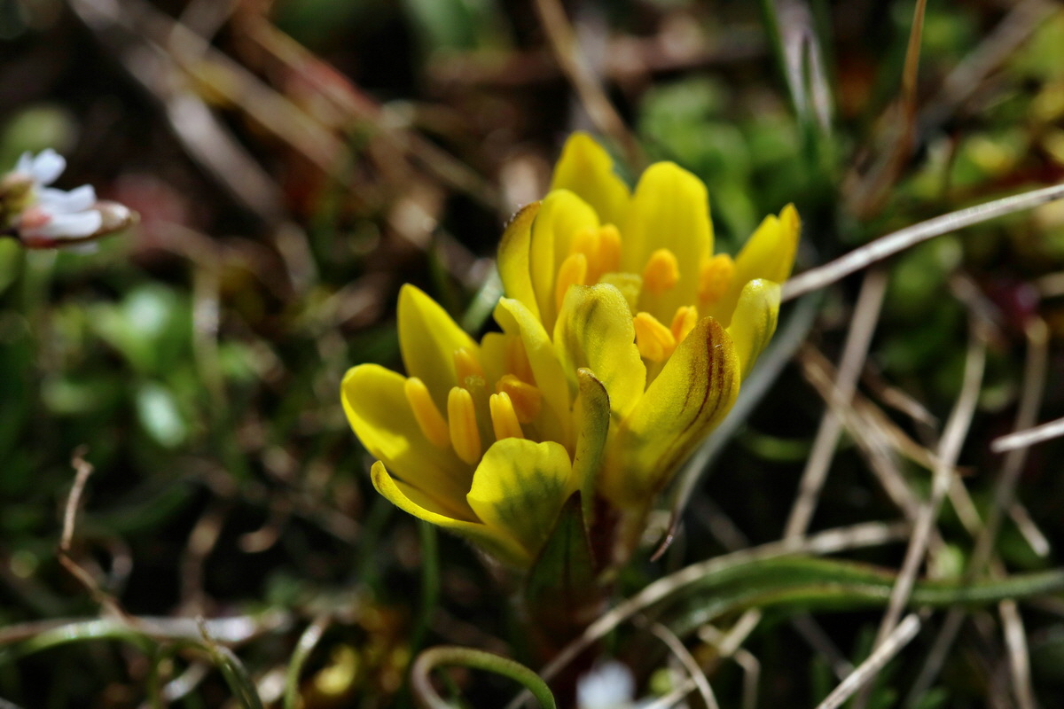 RNA-2017-03-22-00026430p_Bildgr��e �ndern