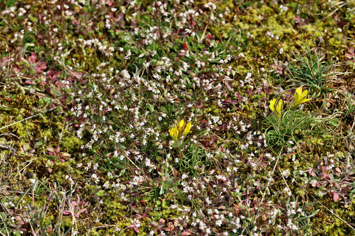 RNA-2017-03-22-00026434p_Bildgr��e �ndern