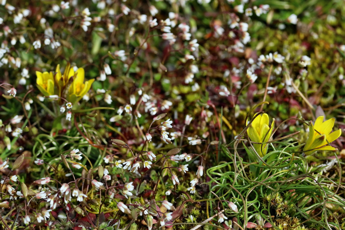 RNA-2017-03-22-00026438p_Bildgr��e �ndern