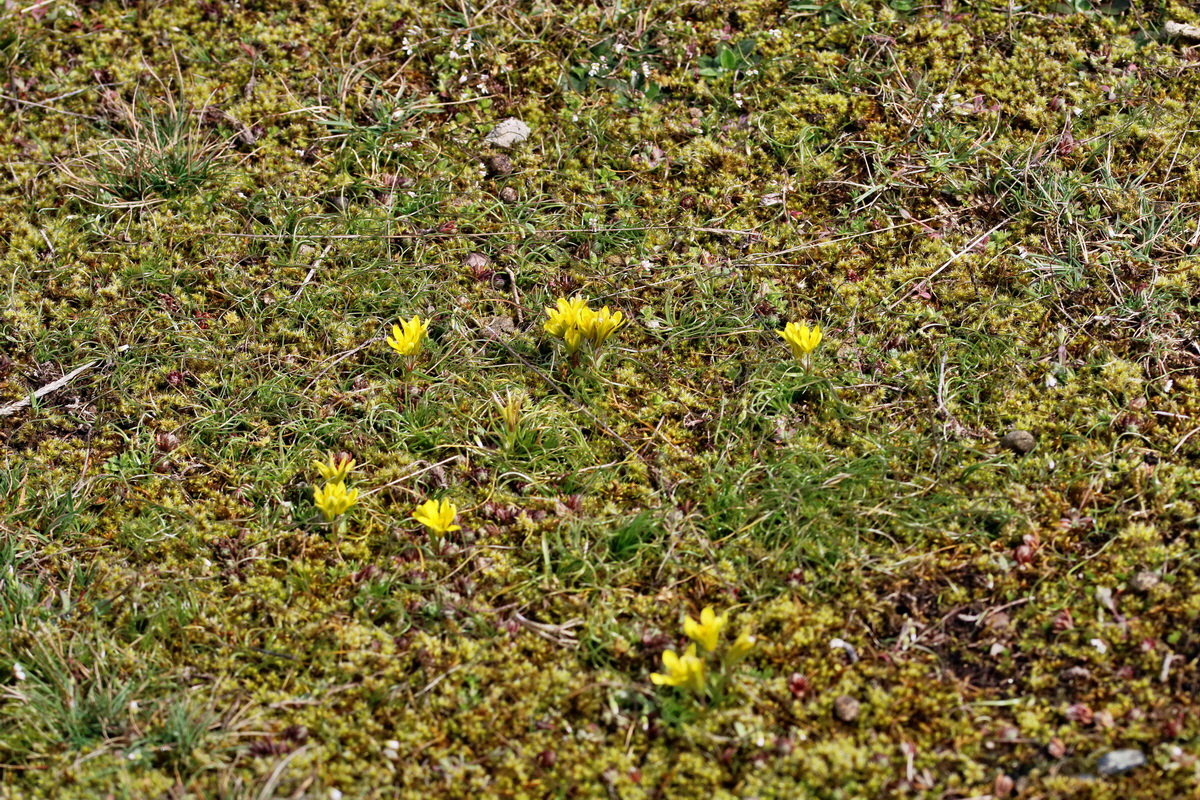 RNA-2017-03-22-00026443p_Bildgr��e �ndern