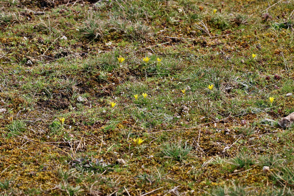 RNA-2017-03-22-00026445p_Bildgr��e �ndern