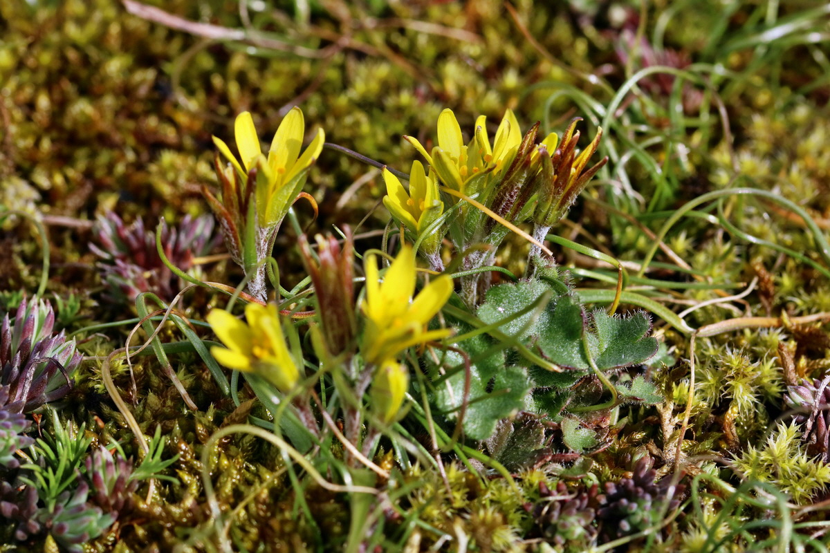 RNA-2017-03-22-00026447p_Bildgr��e �ndern