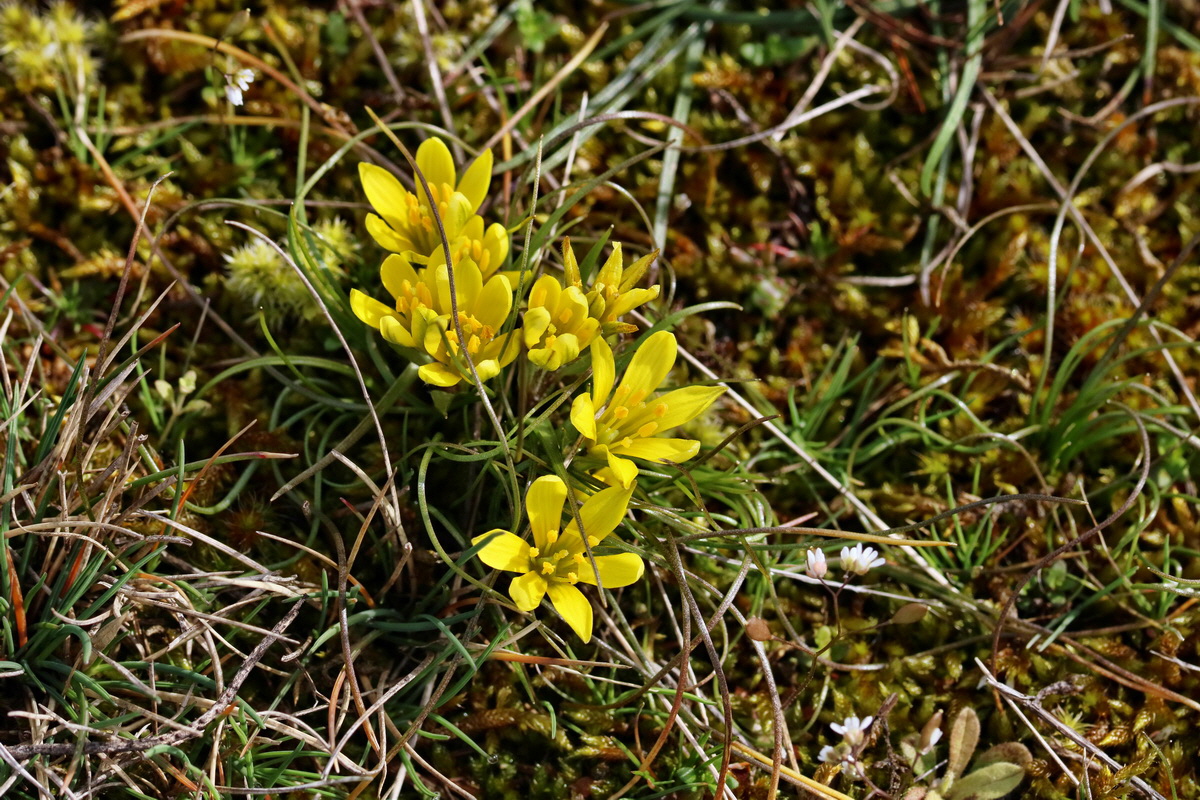 RNA-2017-03-22-00026451p_Bildgr��e �ndern