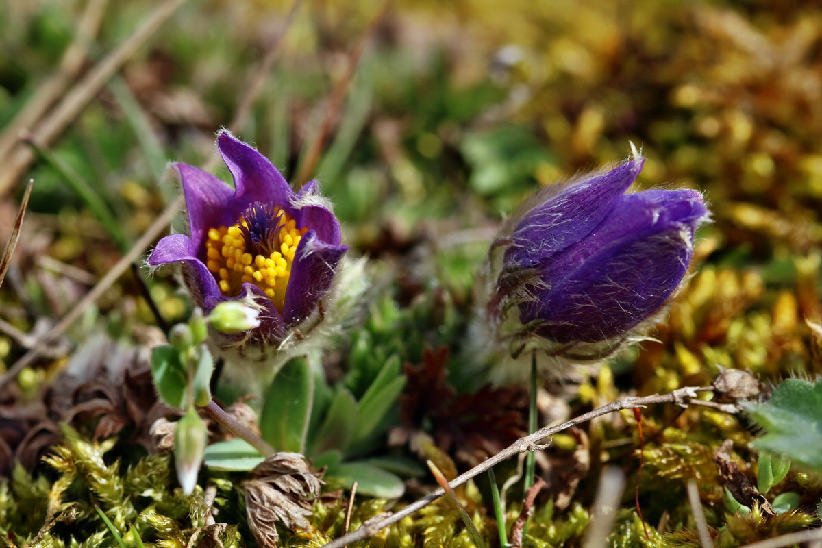 RNA-2017-03-22-00026456p_Bildgr��e �ndern