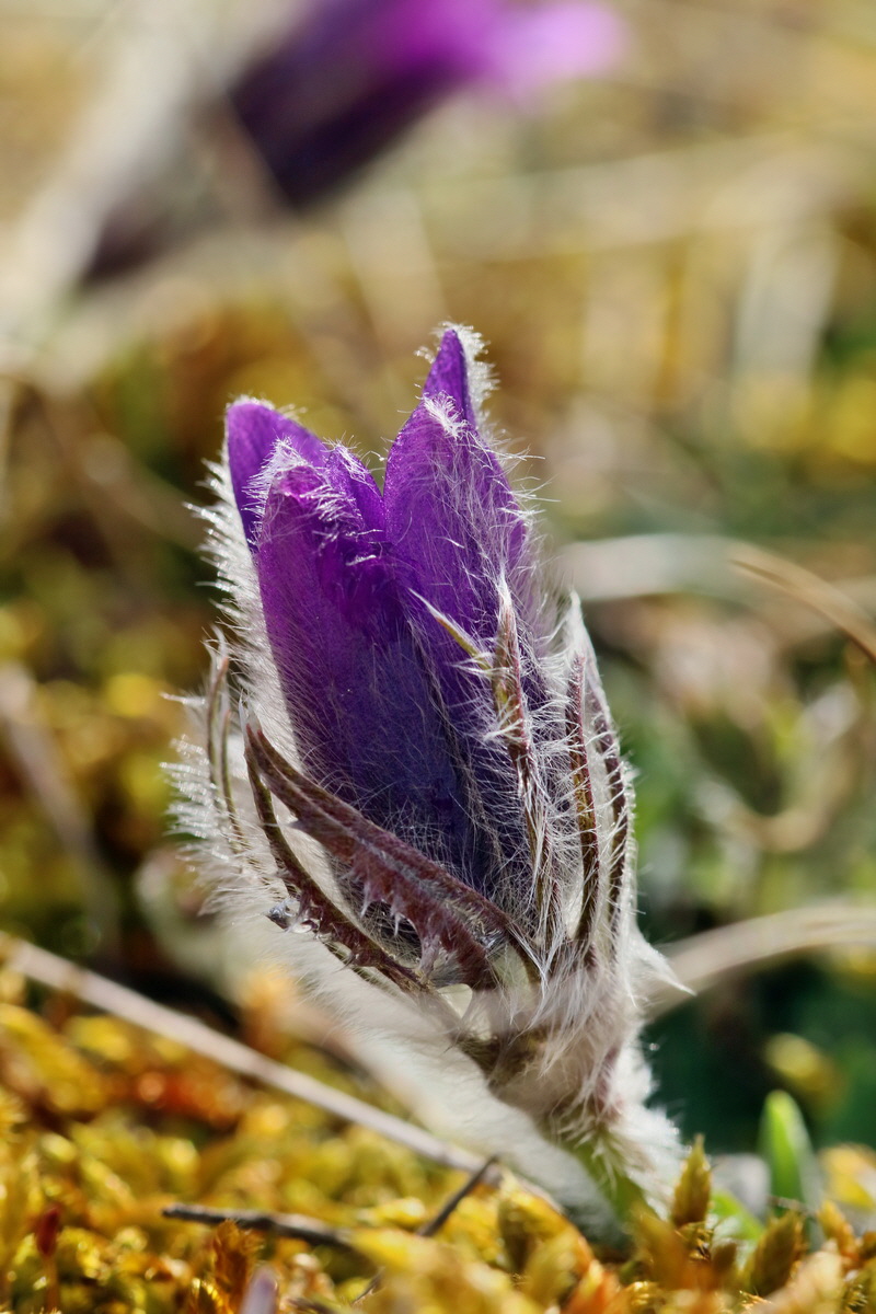 RNA-2017-03-22-00026462p_Bildgr��e �ndern