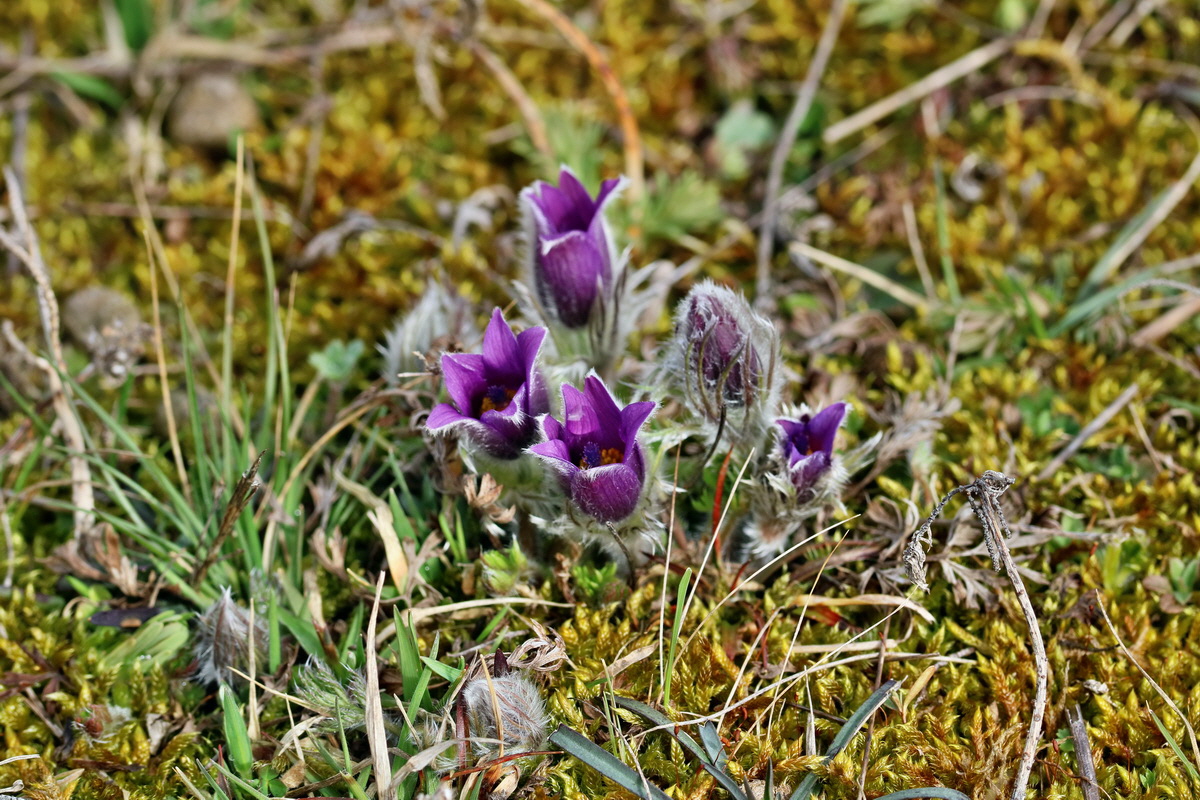 RNA-2017-03-22-00026470p_Bildgr��e �ndern