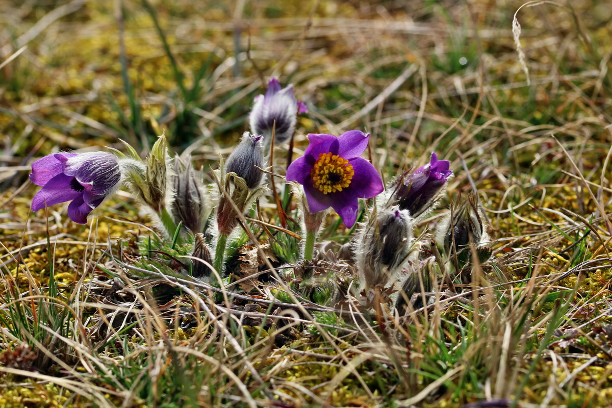 RNA-2017-03-22-00026473p_Bildgr��e �ndern